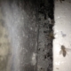 Bee Removal Cerritos CA | Drywall Bee Removal