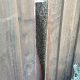 Bee Removal Mission Viejo | Fence Bee Removal