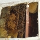 Bee Removal Yorba Linda CA | Behind Chimney Bee Removal