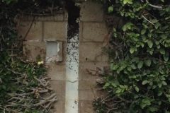 Block Wall Bee Removal