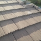 Dead Bee Hive Removal Fullerton | Roof Bee Removal | Wall Bee Removal