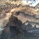 Bee Hives Killed by Bee Exterminators
