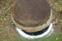 Man Hole Cover Bee Removal