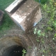 Man Hole Cover Bee Removal