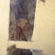 Diamond Bar Bee Removal | Stucco Wall Bee Removal