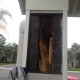 Irvine Bee Removal | Bee Hive Removal from Column