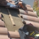 Bee Removal Irvine CA | Roof Bee Removal Irvine CA