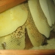 Bee Hives Killed by Bee Exterminators