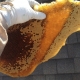 Long Beach Bee Removal | Roof Bee Rescue