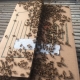 Long Beach Bee Removal